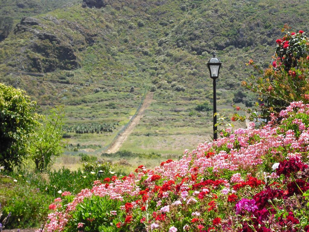 Finca El Picacho Apartments In The Countryside 2 Km From The Beach Tejina Bilik gambar