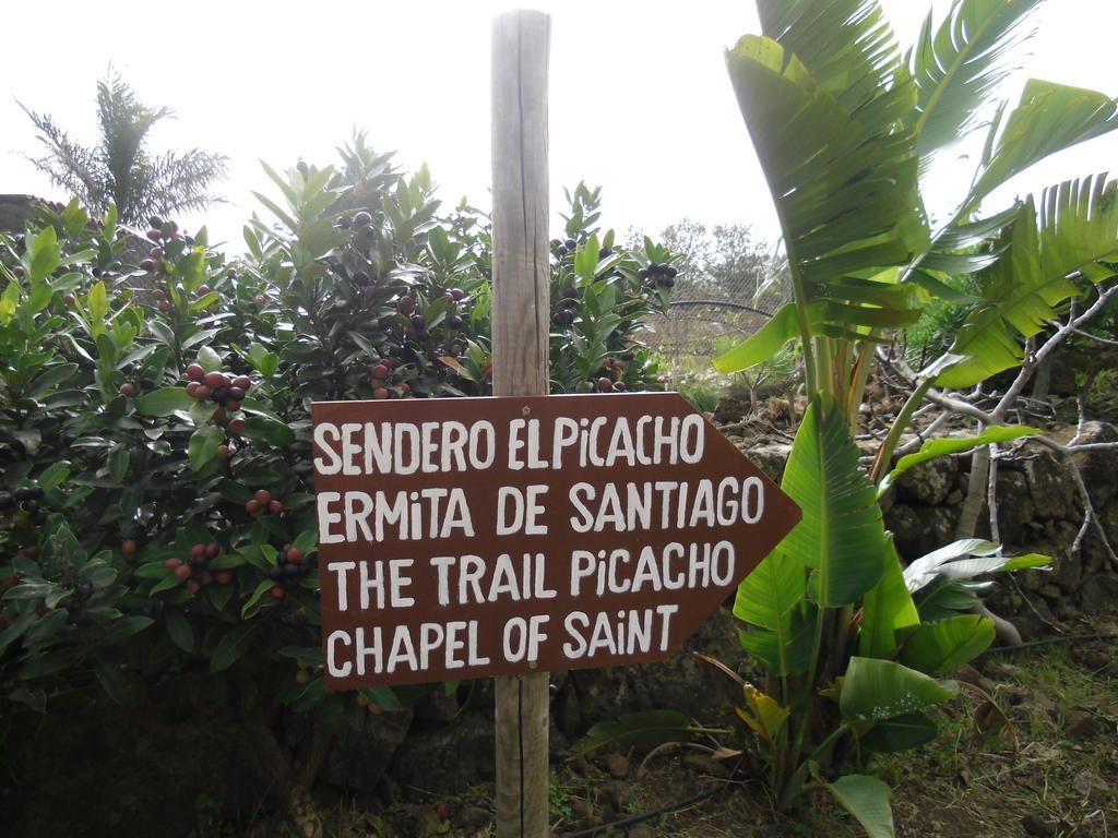 Finca El Picacho Apartments In The Countryside 2 Km From The Beach Tejina Bilik gambar