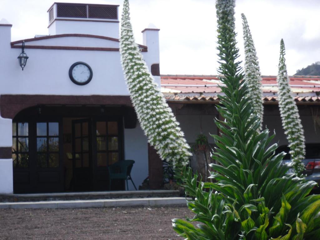 Finca El Picacho Apartments In The Countryside 2 Km From The Beach Tejina Luaran gambar