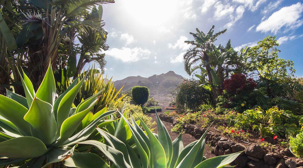 Finca El Picacho Apartments In The Countryside 2 Km From The Beach Tejina Bilik gambar